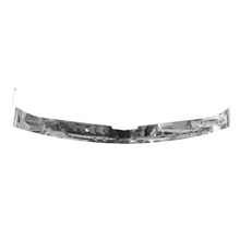 MOSQUITERO PARA KENWORTH W-900 ACERO INOX